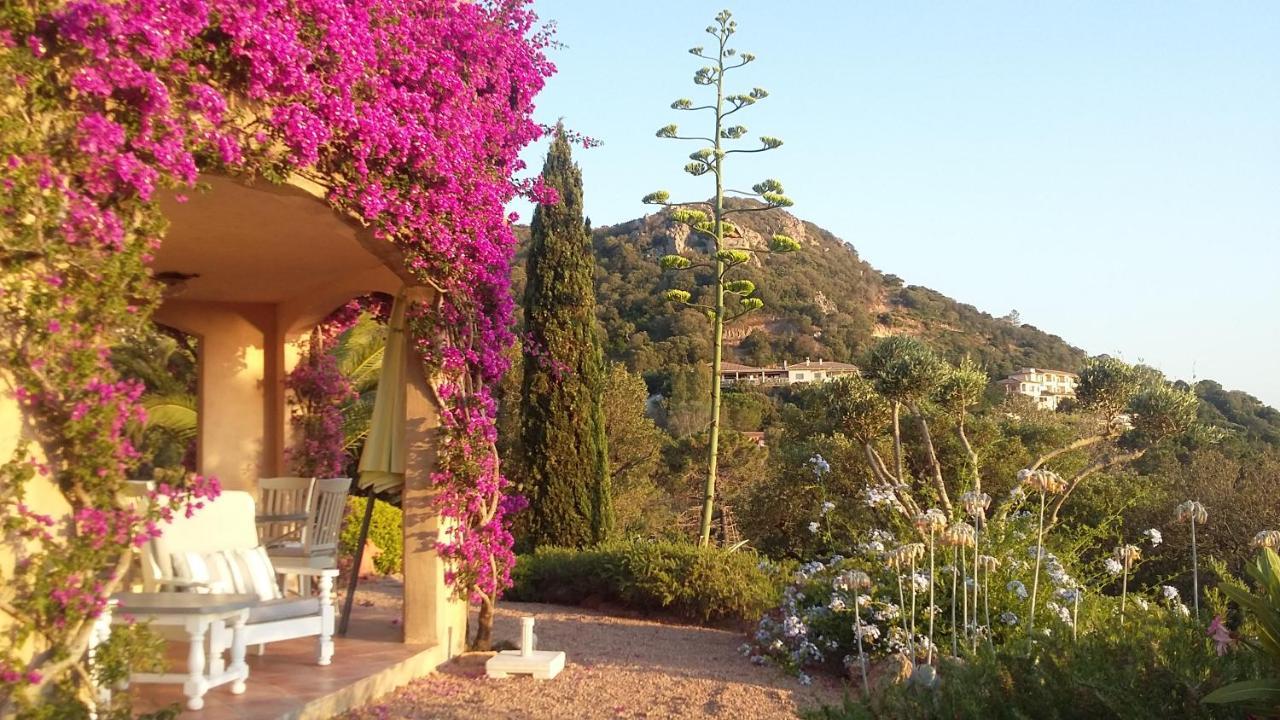 U Paradisu B&B Porto-Vecchio  Bagian luar foto